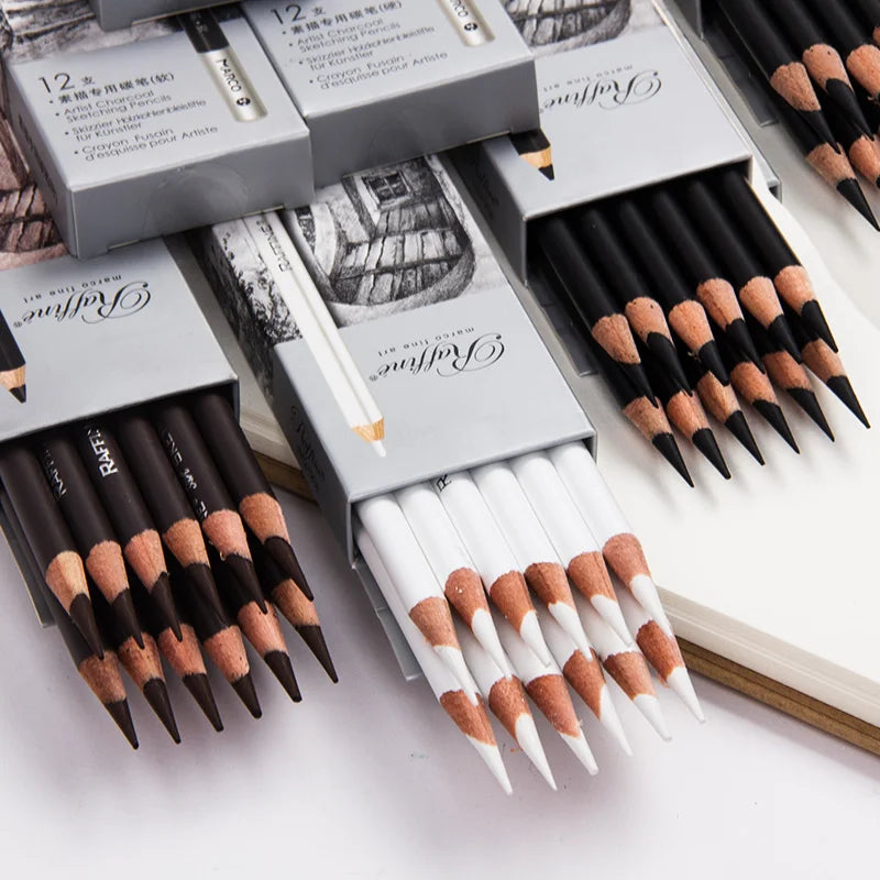 Professional Charcoal Pencil Set