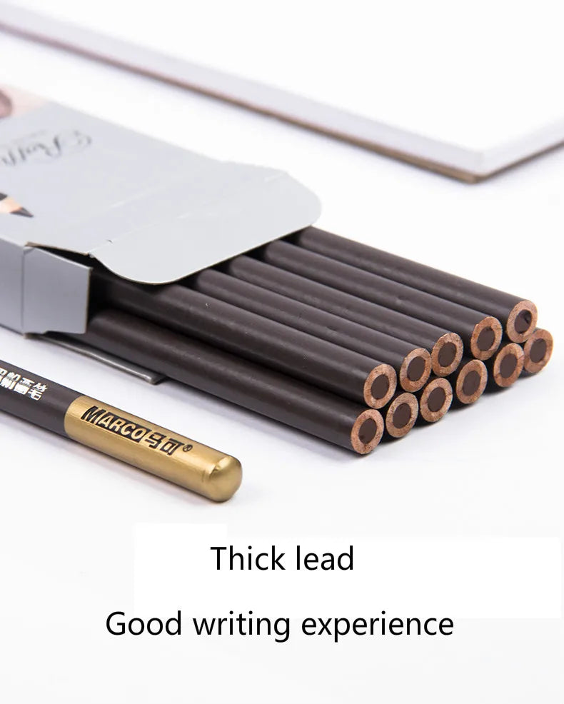 Professional Charcoal Pencil Set