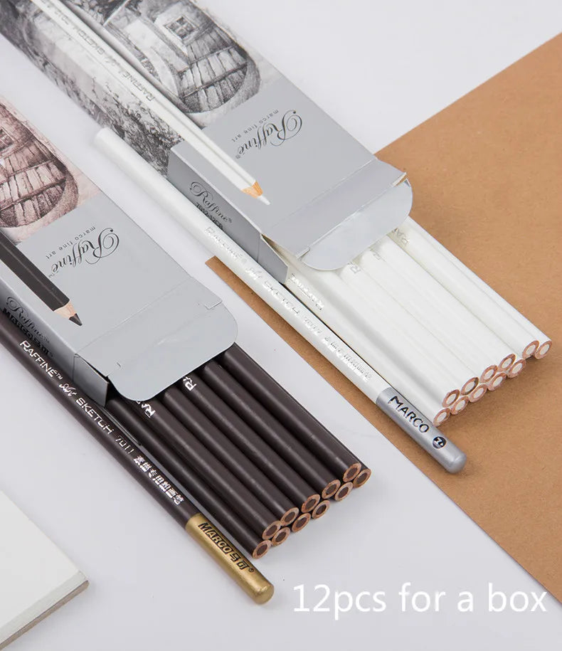 Professional Charcoal Pencil Set