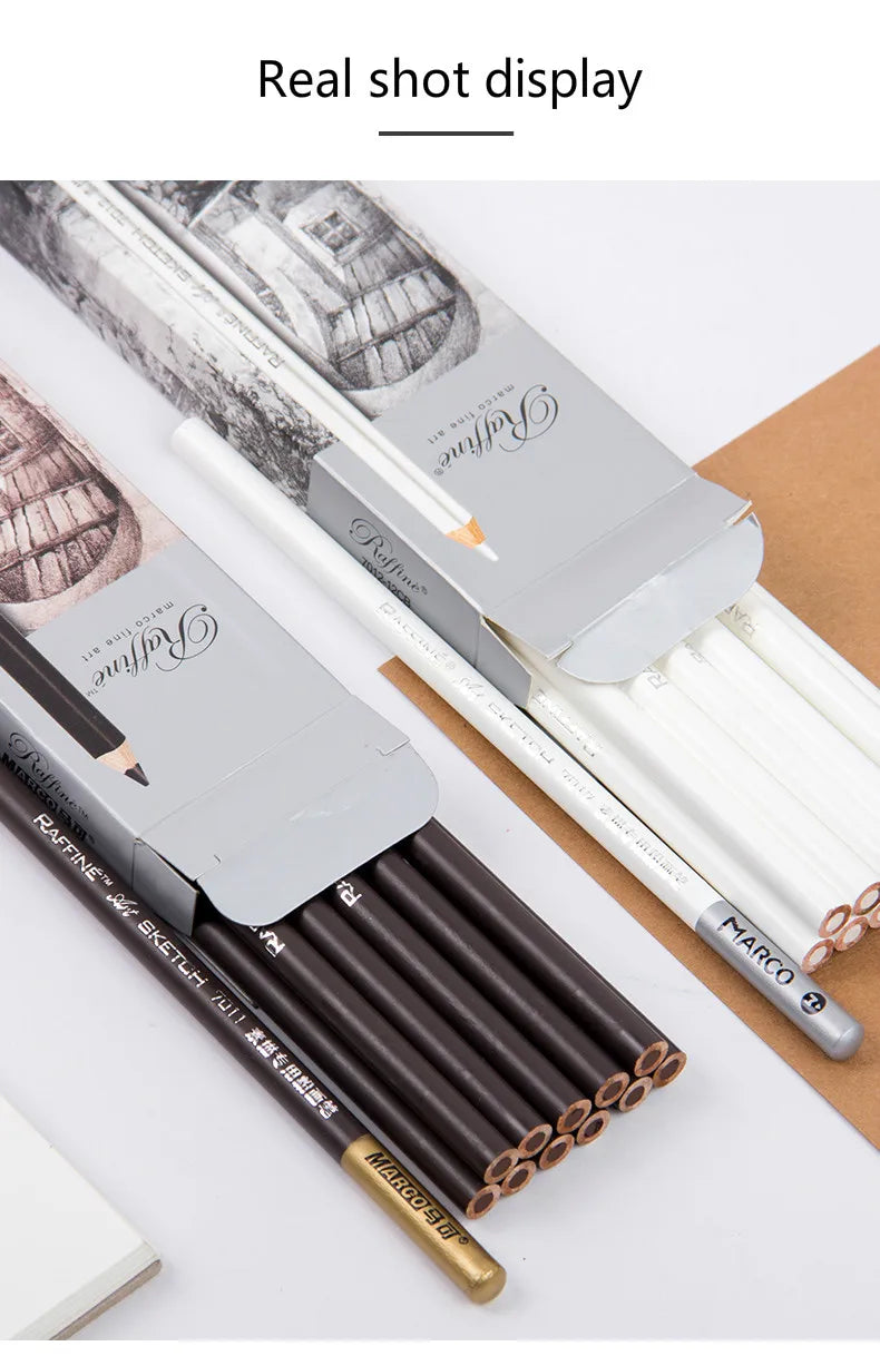 Professional Charcoal Pencil Set