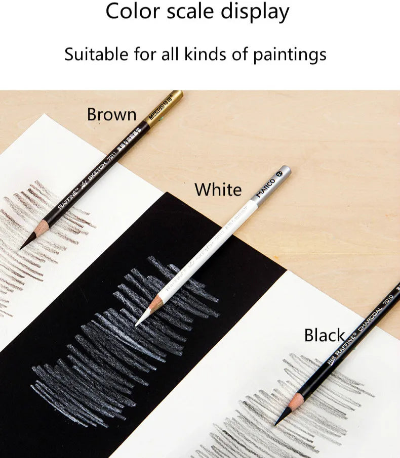 Professional Charcoal Pencil Set