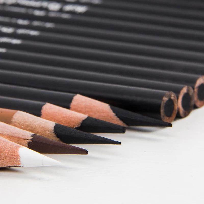 Professional Charcoal Pencil Set