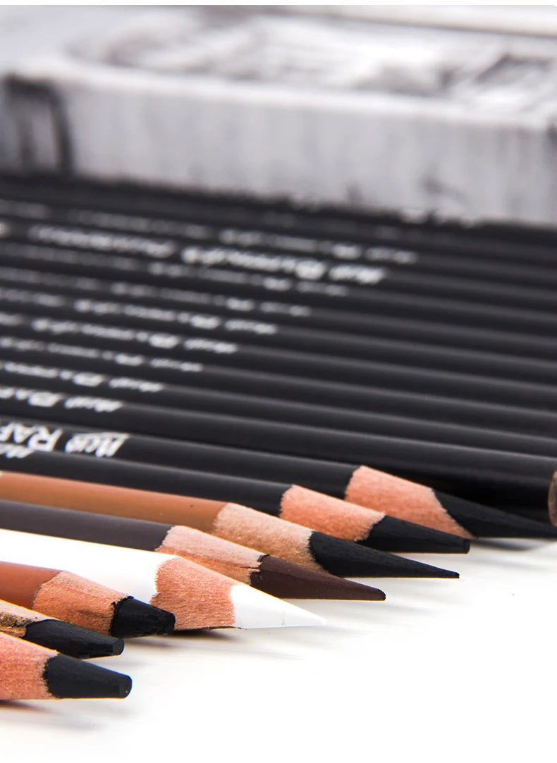 Professional Charcoal Pencil Set