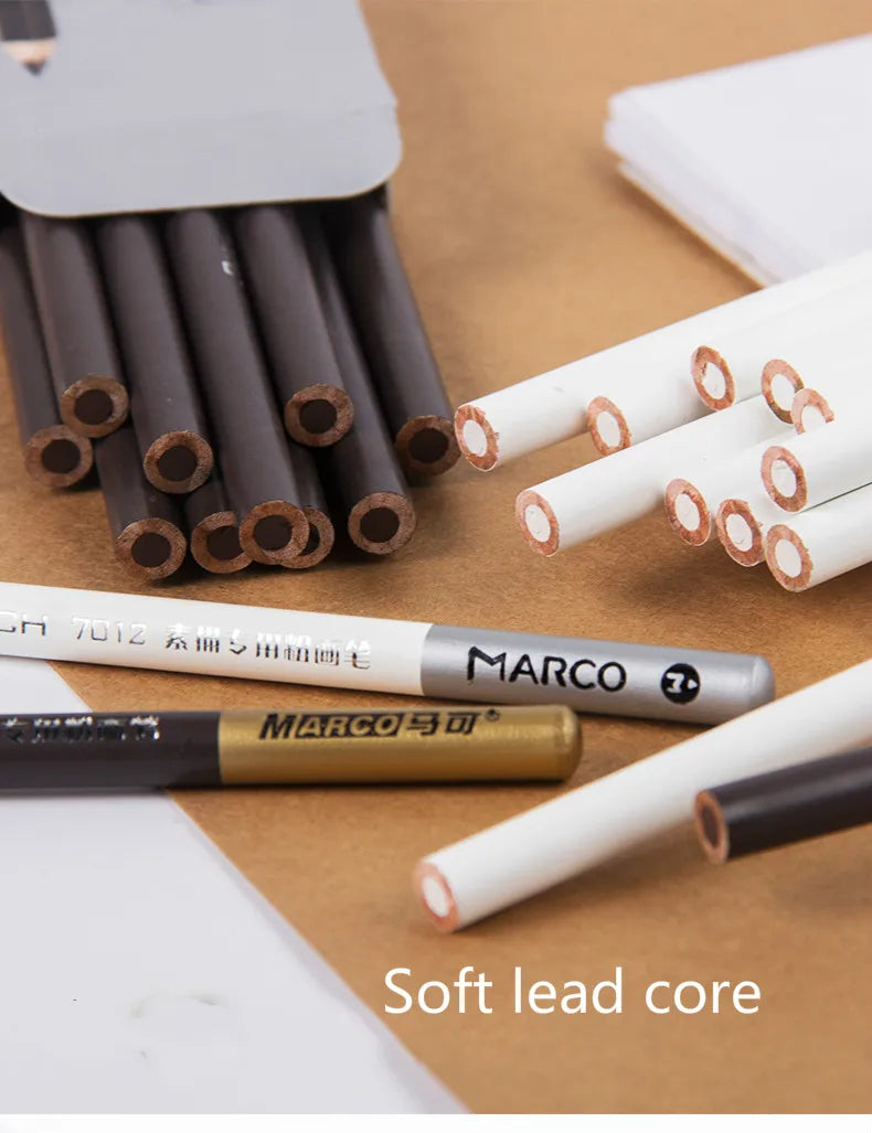 Professional Charcoal Pencil Set