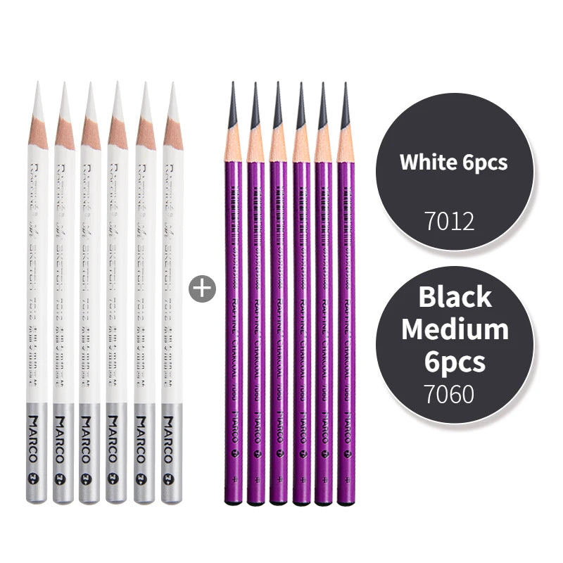 Professional Charcoal Pencil Set