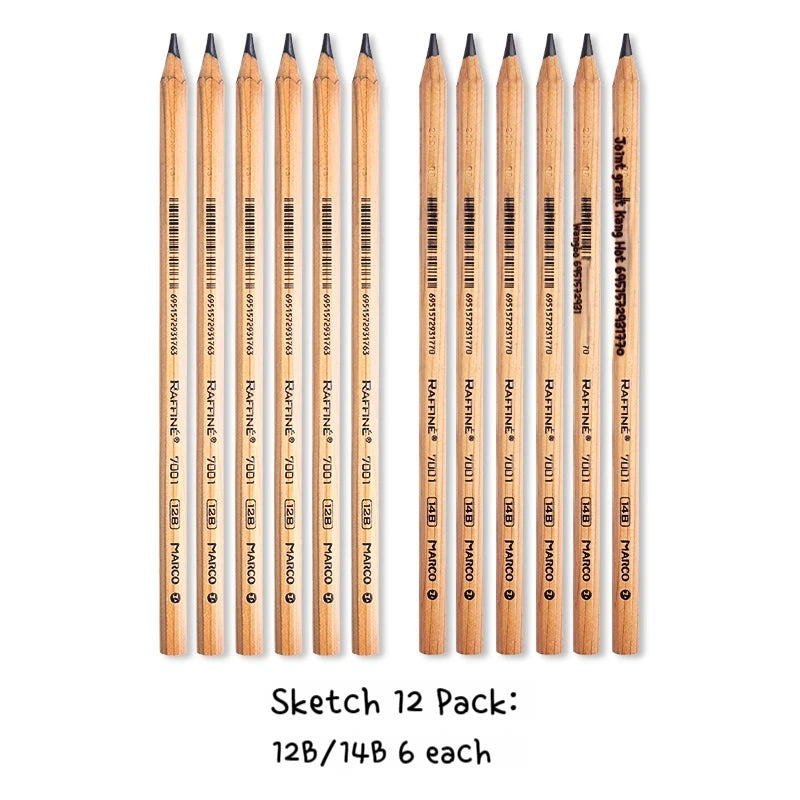 Professional Sketch Pencil Set