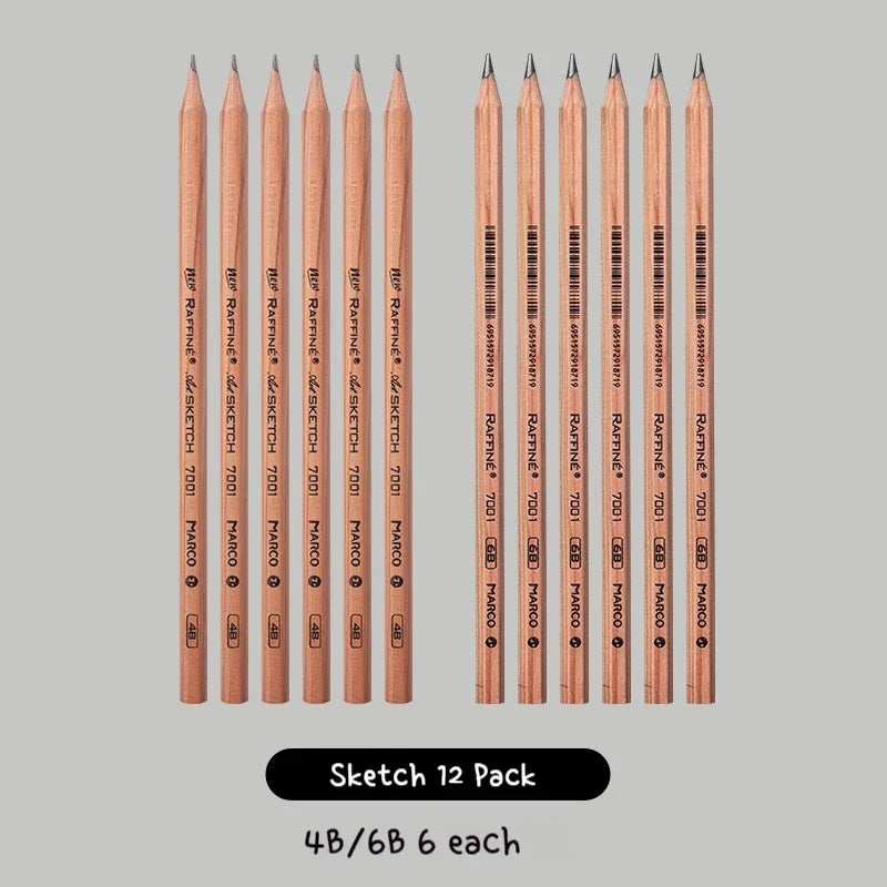 Professional Sketch Pencil Set