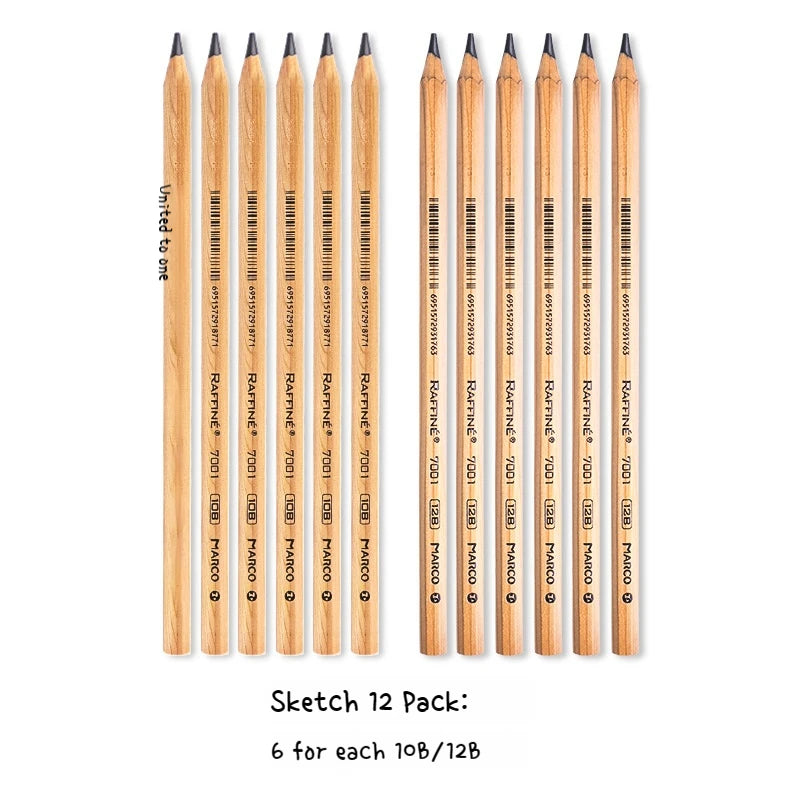 Professional Sketch Pencil Set