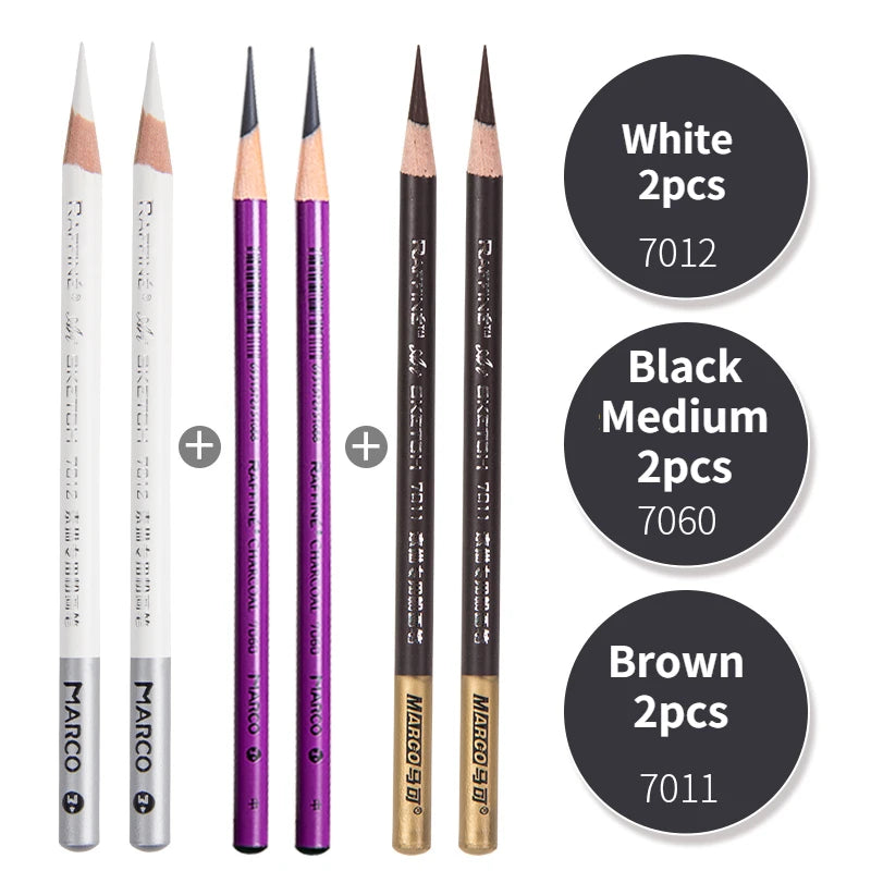 Professional Charcoal Pencil Set