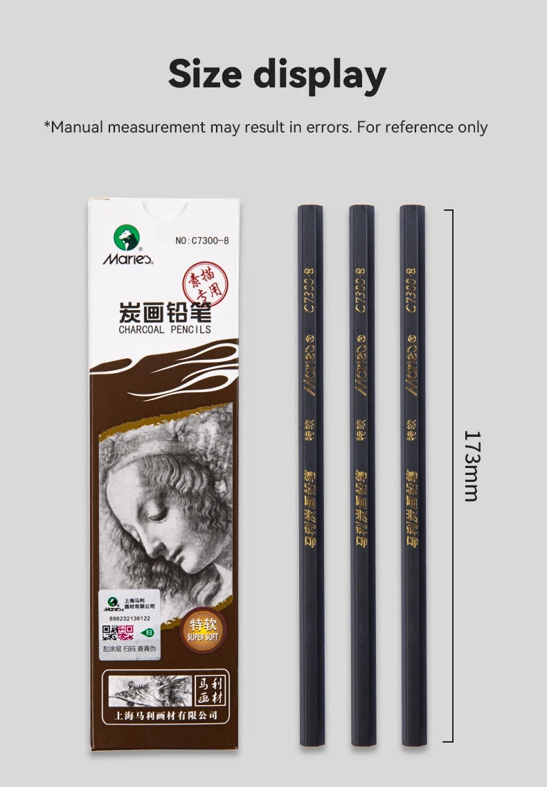 Professional Sketch Pencil Set