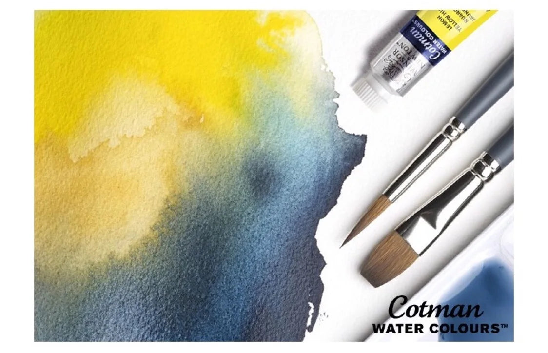 Winsor & Newton Watercolor Paint Set