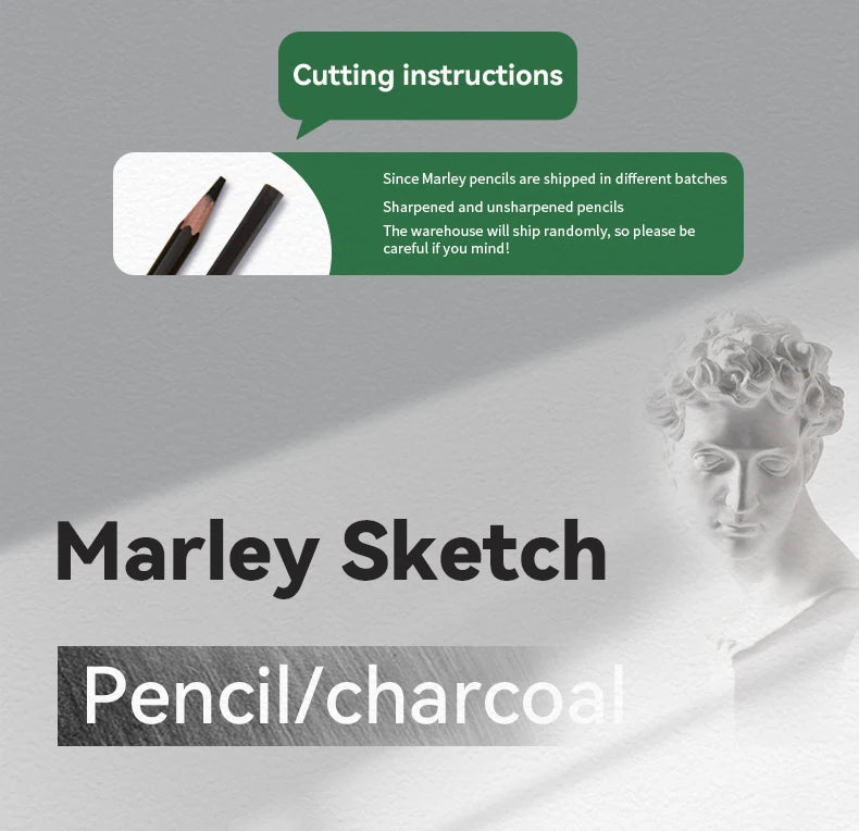 Professional Sketch Pencil Set