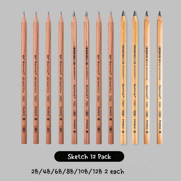 Professional Sketch Pencil Set