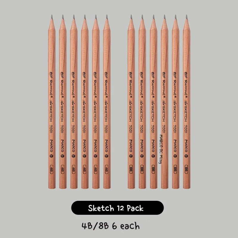 Professional Sketch Pencil Set