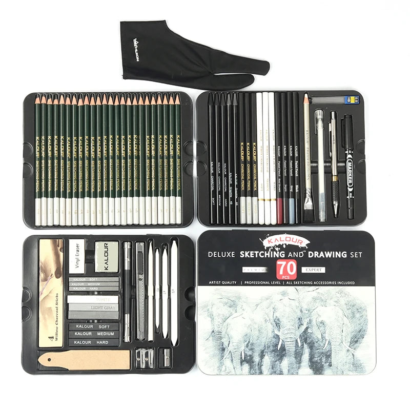 Professional Sketching Kit