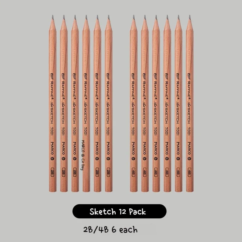 Professional Sketch Pencil Set