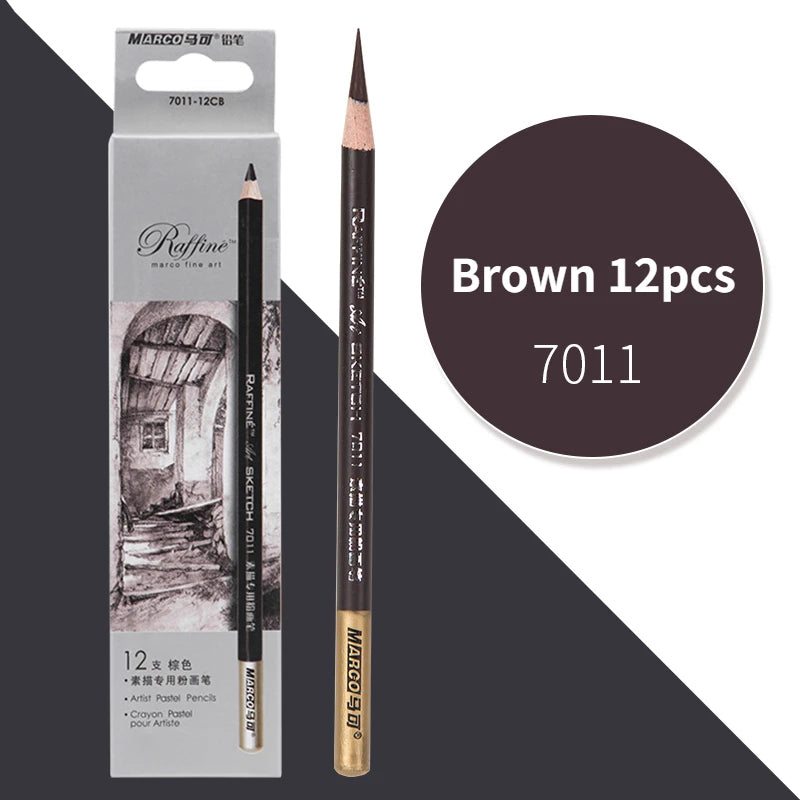 Professional Charcoal Pencil Set