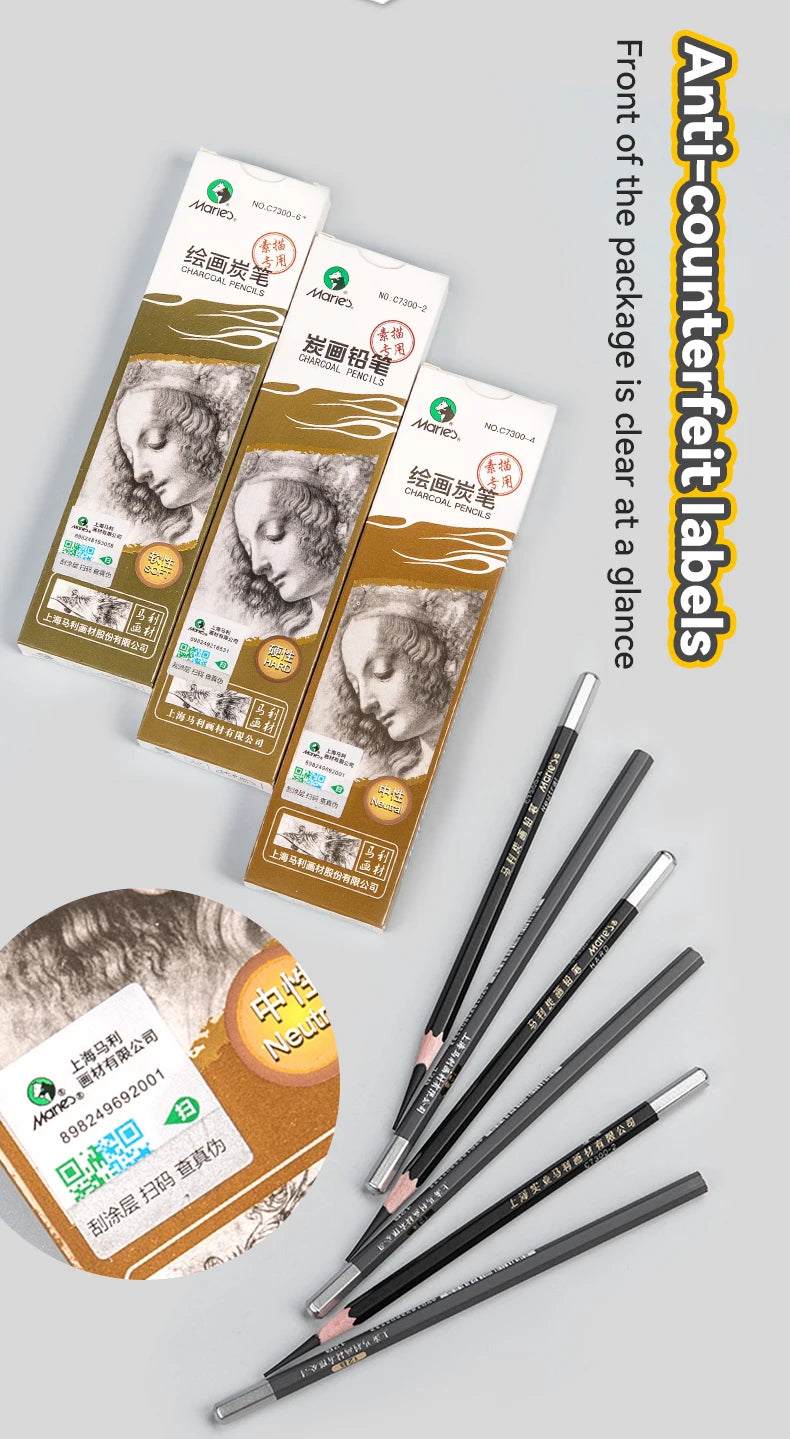 Professional Sketch Pencil Set