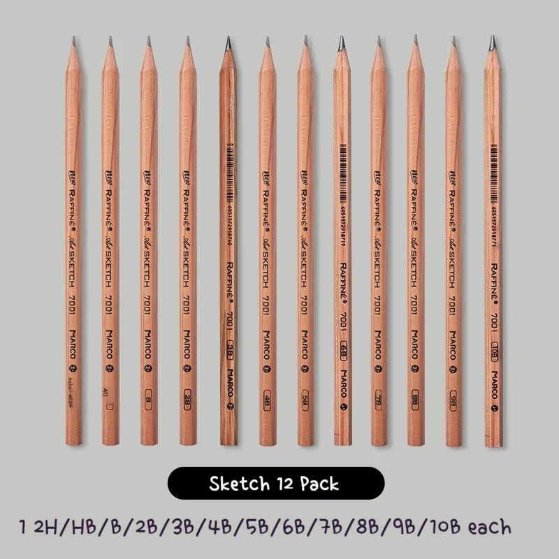 Professional Sketch Pencil Set