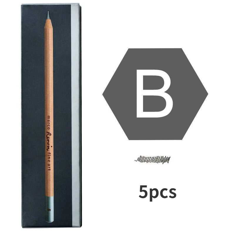 Professional Charcoal Pencil Set