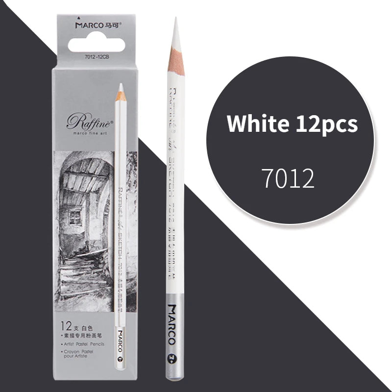 Professional Charcoal Pencil Set